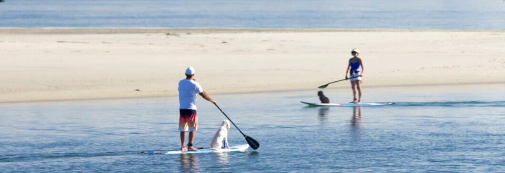 Forster_TTD_Paddleboarding